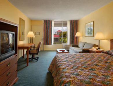 Ramada Heritage Park Kissimmee (Adults Only) Room photo